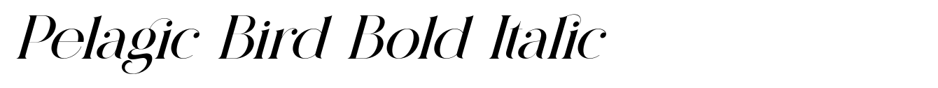 Pelagic Bird Bold Italic